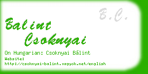 balint csoknyai business card